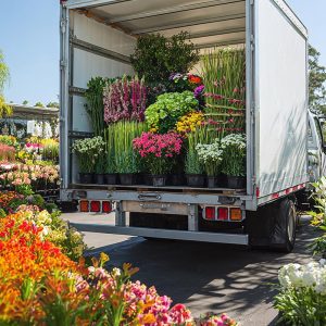 Abonnement - Hebdomadaire 6 mois