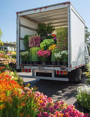 Abonnement - Hebdomadaire 6 mois