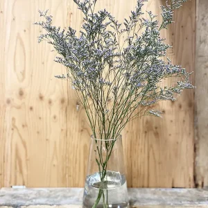 Caspia limonium lilas