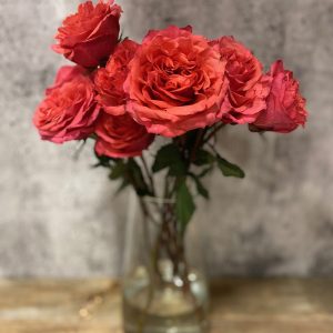 Rose fuchsia