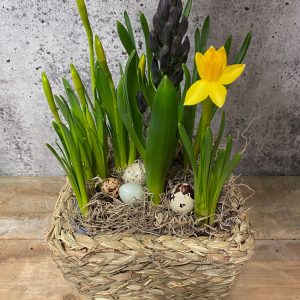 Petit jardin de Pâques en panier d'osier