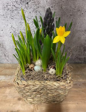Petit jardin de Pâques en panier d'osier