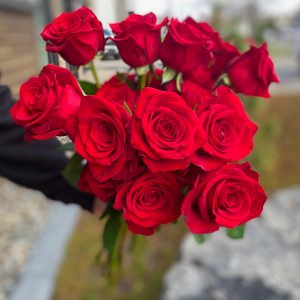 Rose rouge