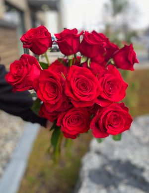 Rose rouge