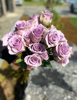 Rose violette