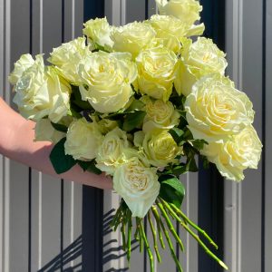 Rose blanche crème