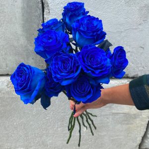 Rose bleu