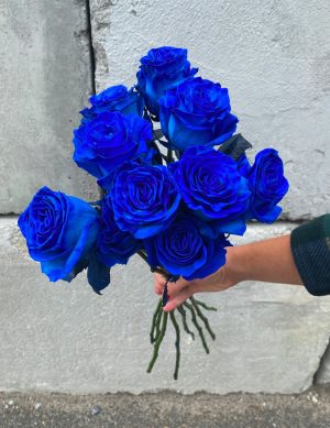 Rose bleu